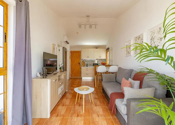 Canarian - Private In Playa Del Ingles Maspalomas (Gran Canaria)